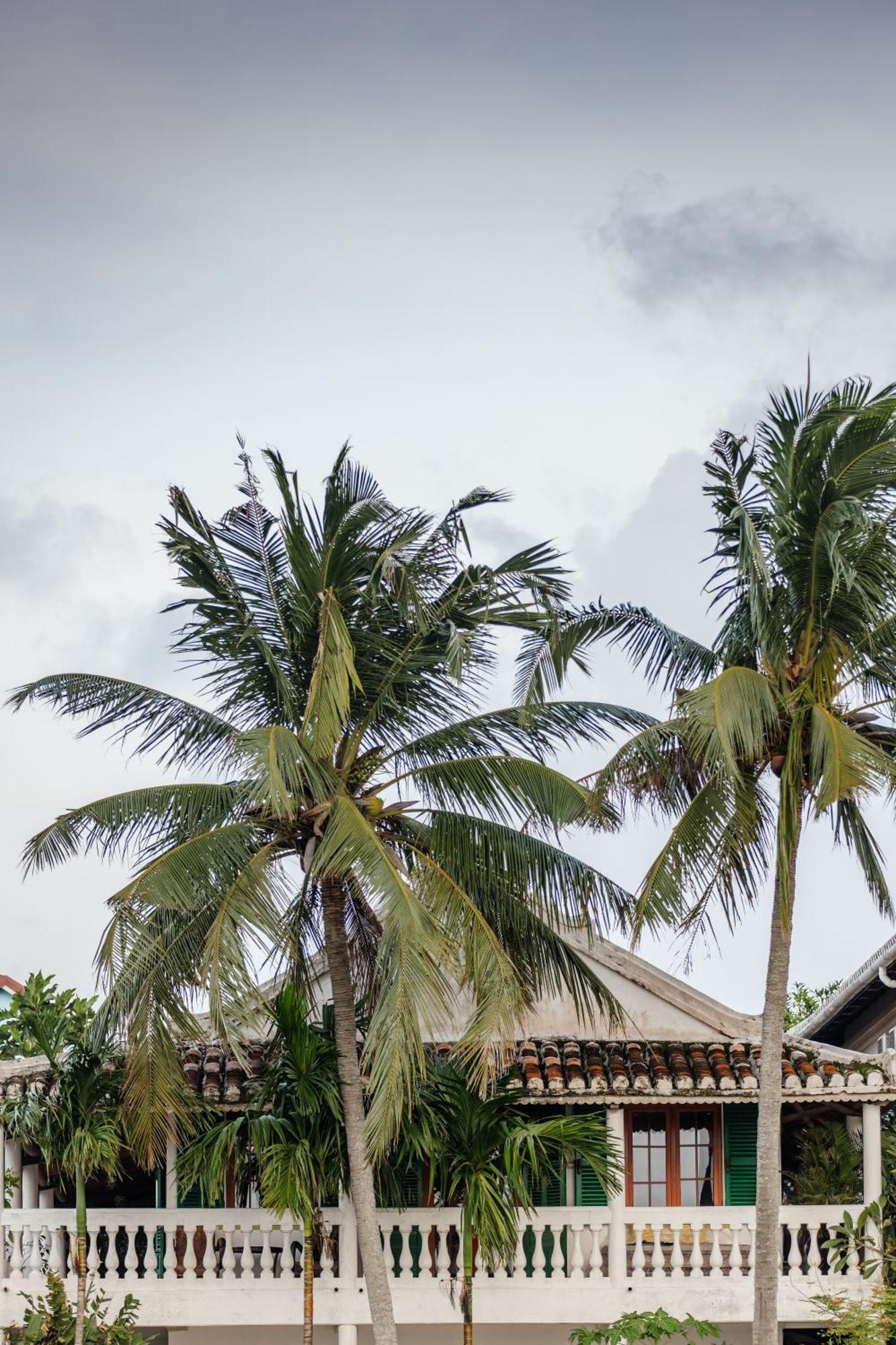 Heron House Hoi An Exterior foto