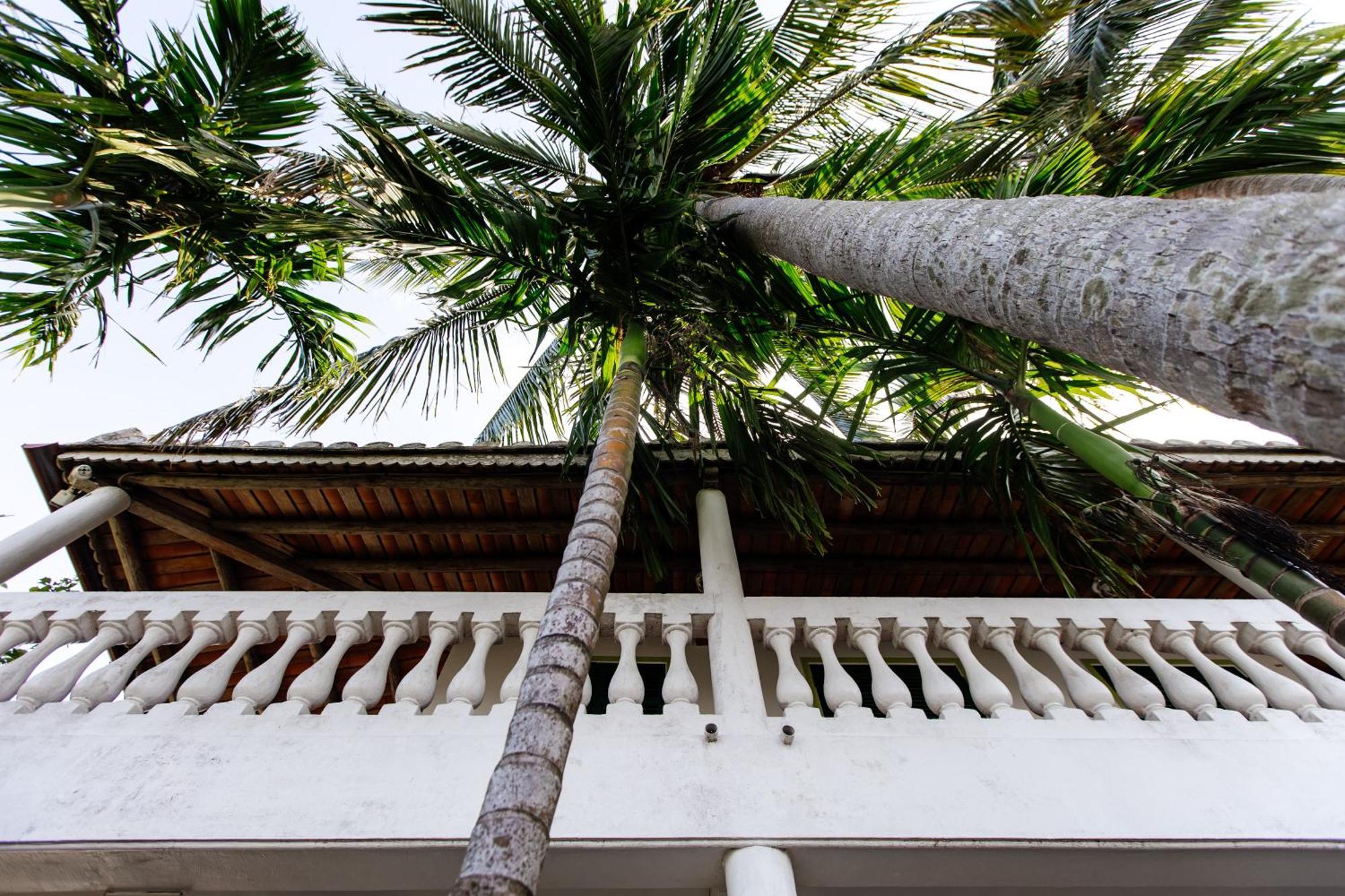 Heron House Hoi An Exterior foto